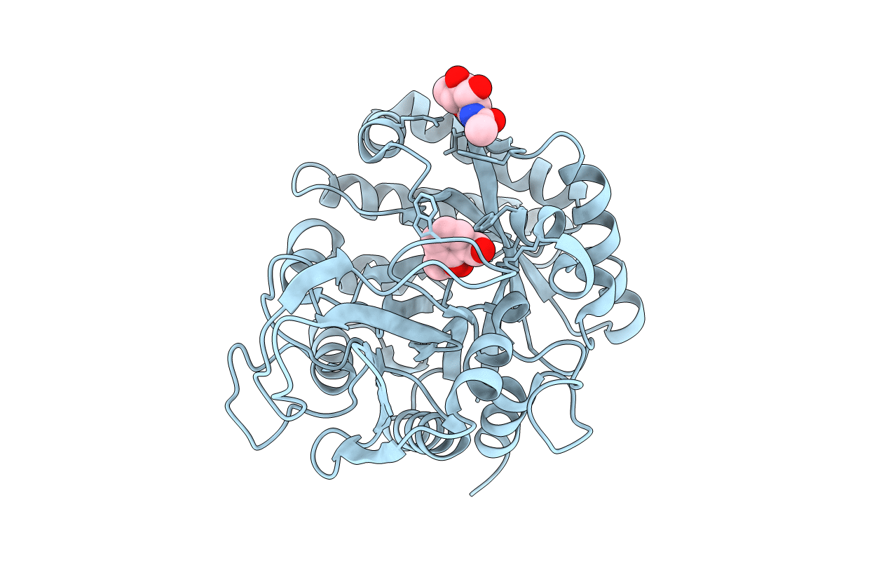 4NSB image