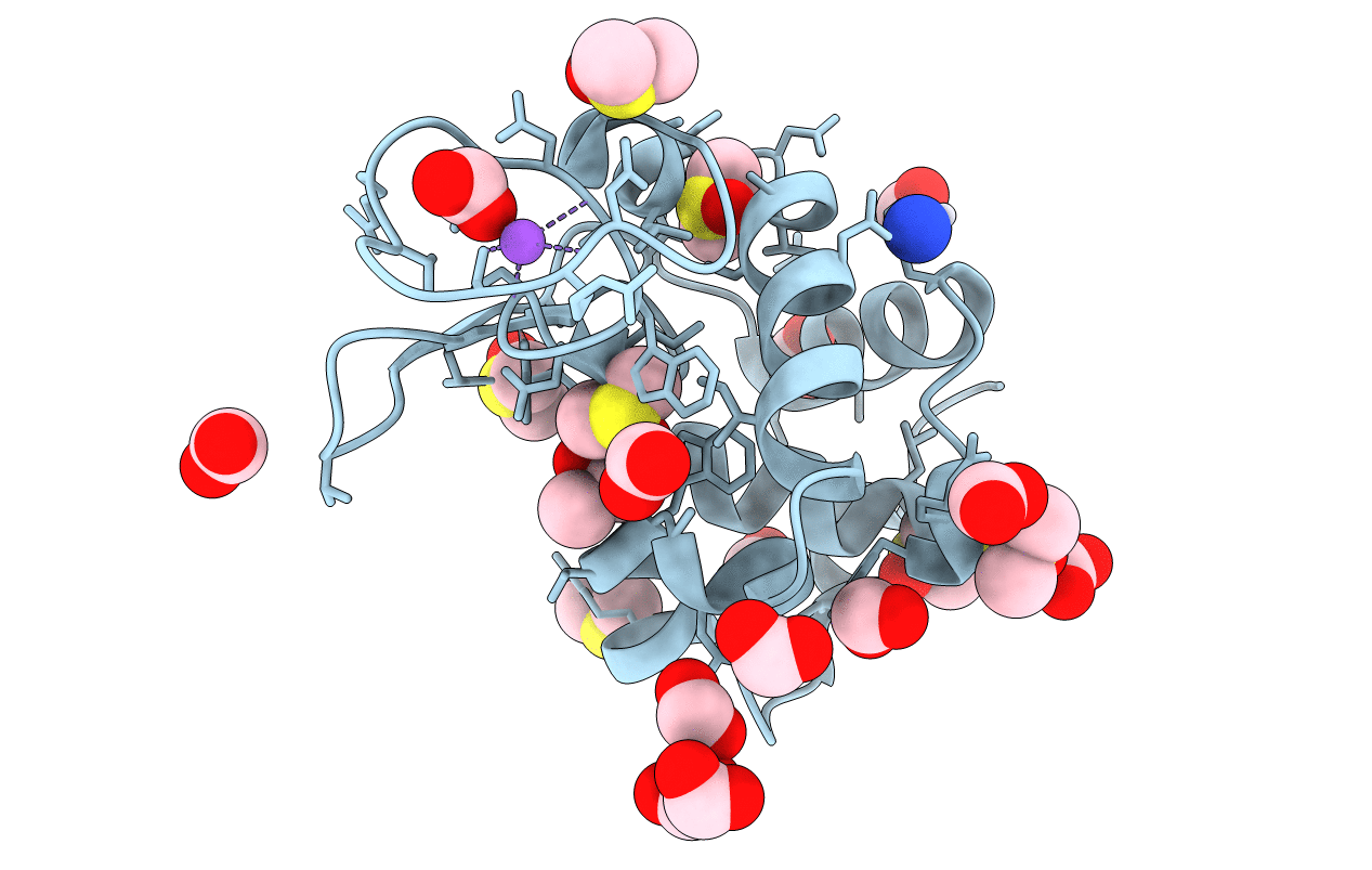 4NSJ image