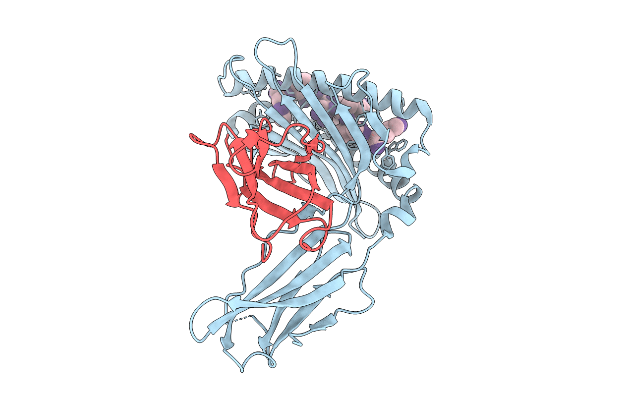 4NSK image