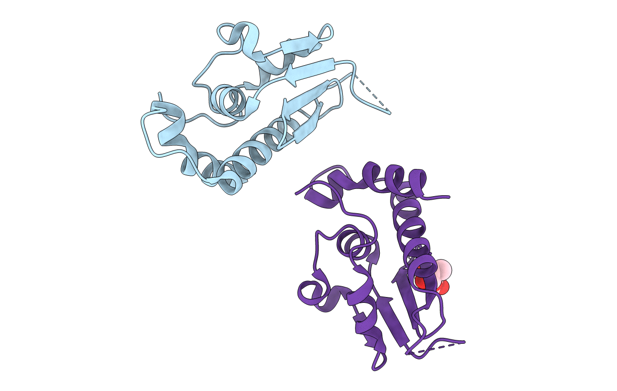 4NSS image