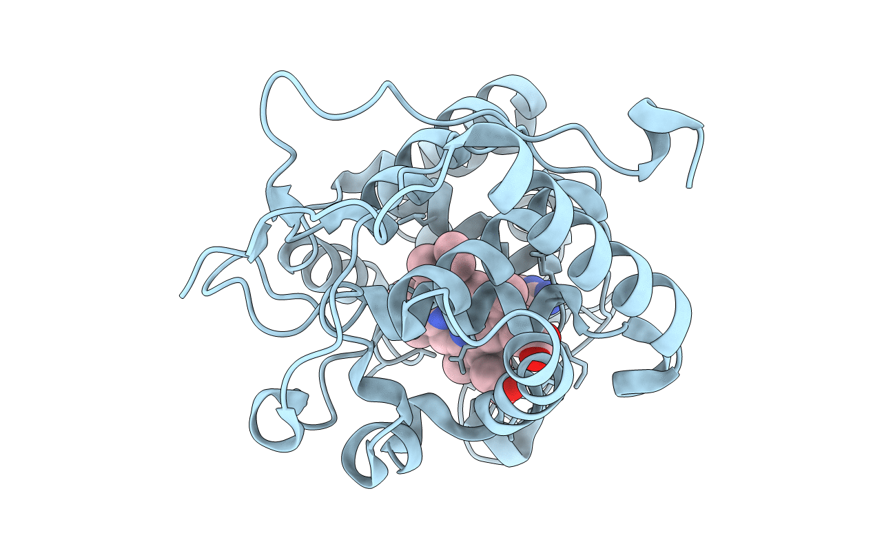 4NVD image