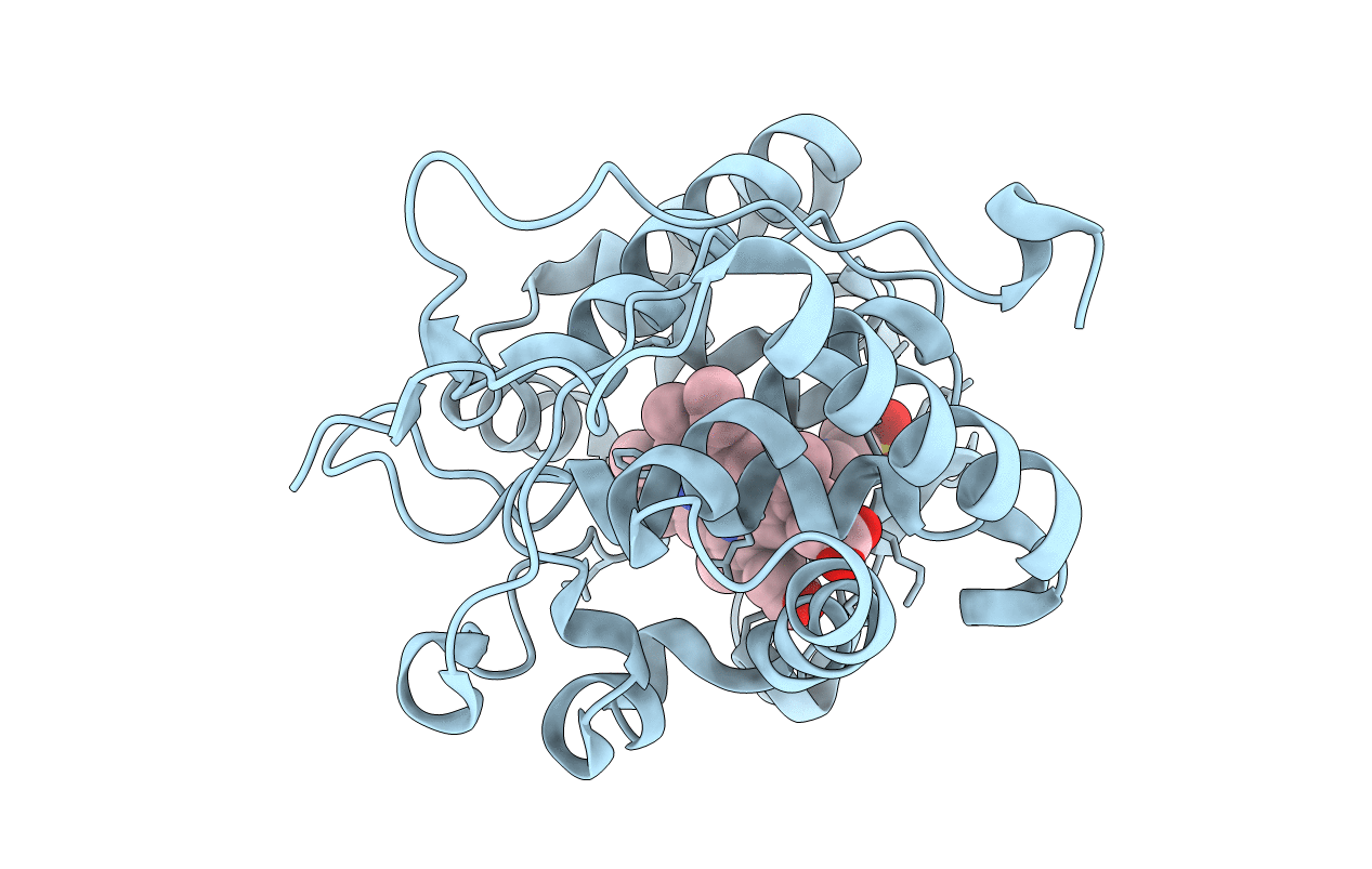 4NVF image