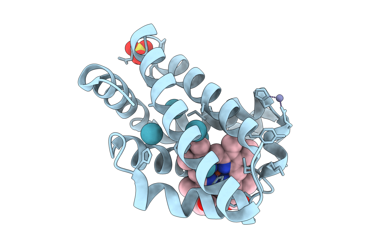 4NXA image