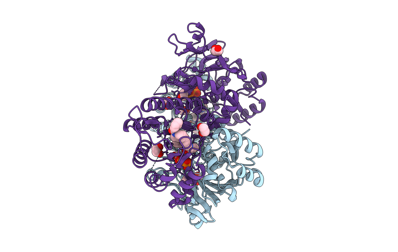 4O1B image