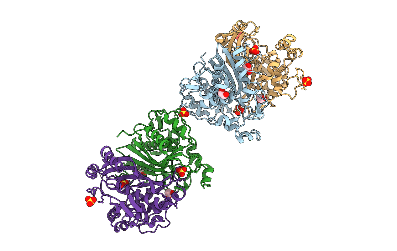 4O1X image