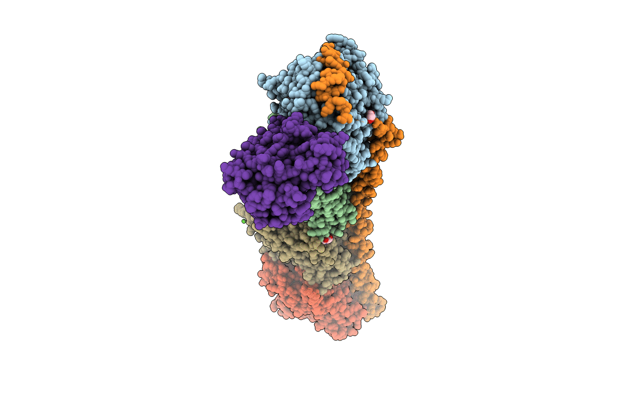 4O2B image