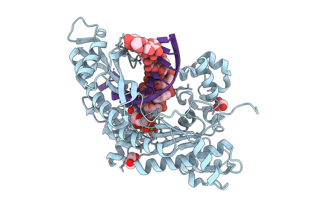 4O3P image