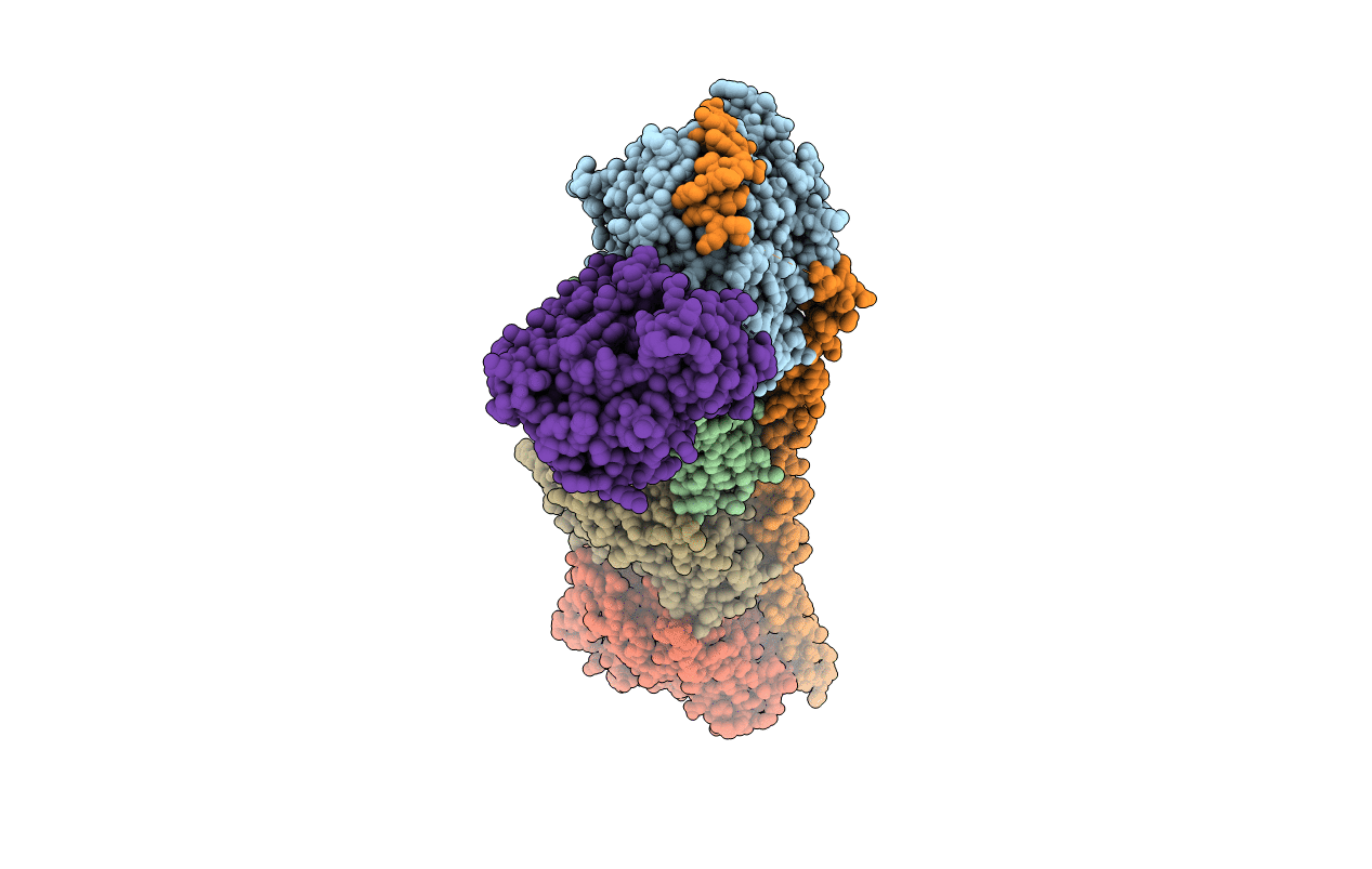 4O4I image