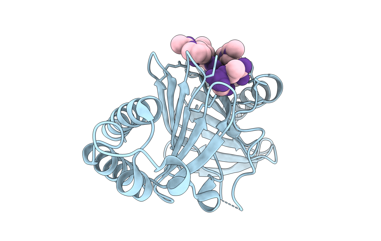 4O6W image
