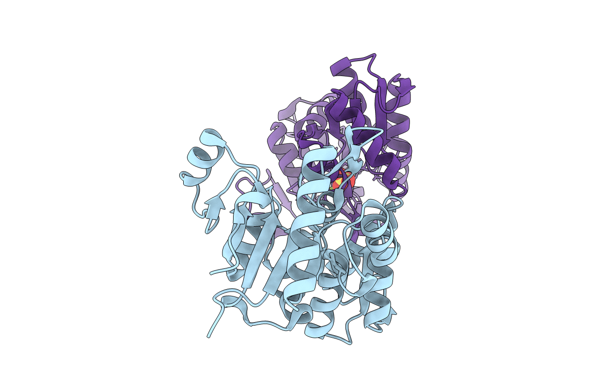 4O8C image