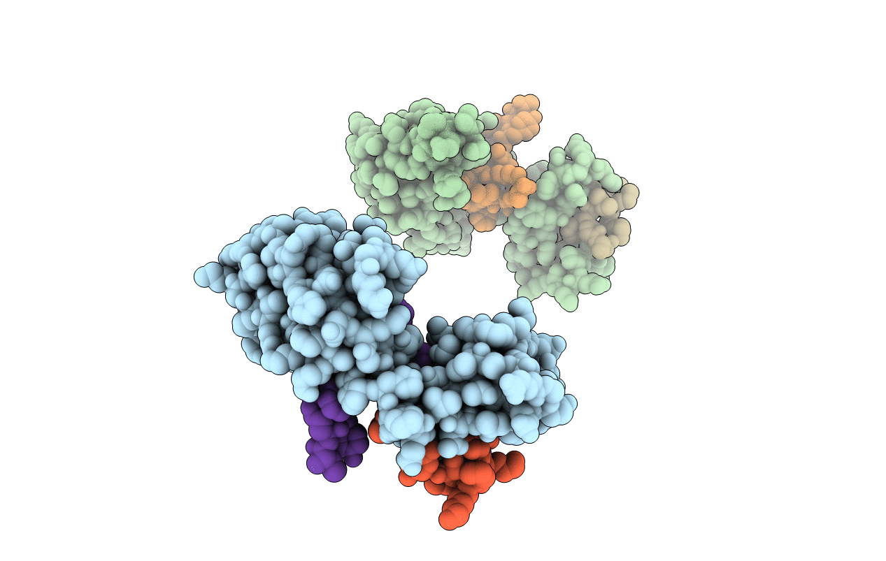 4ODL image
