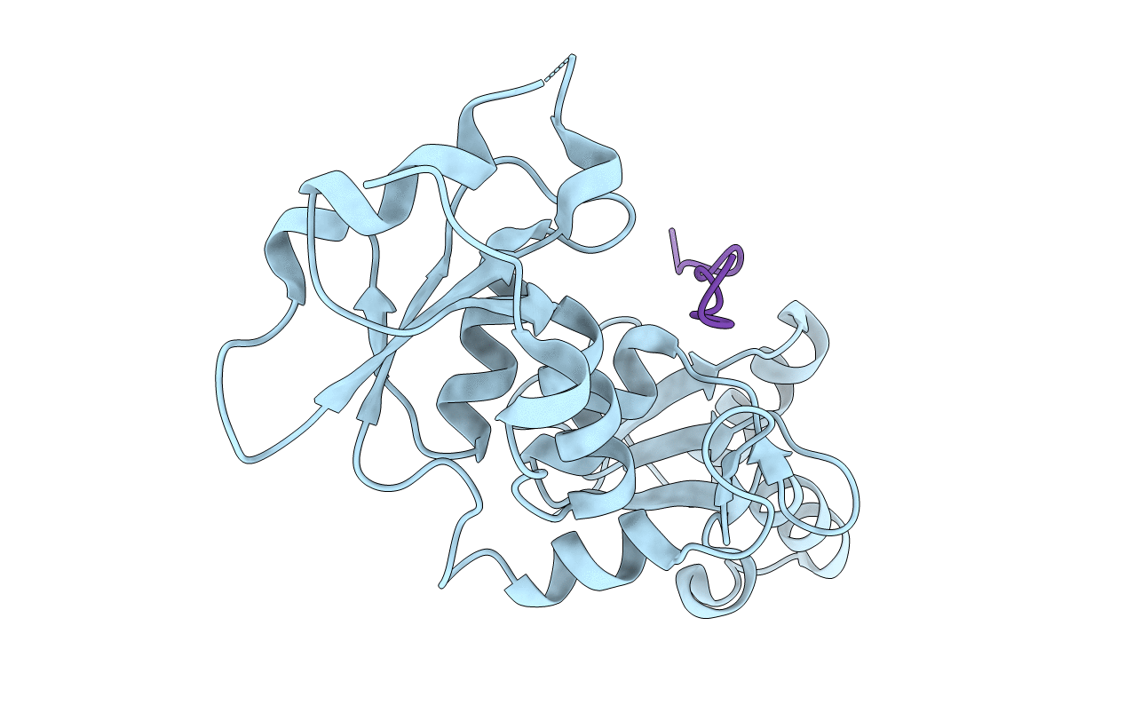 4OFB image