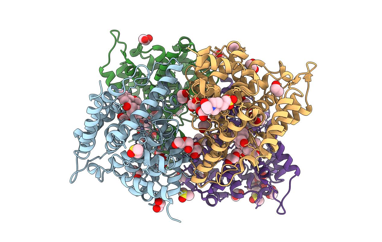 4OGB image