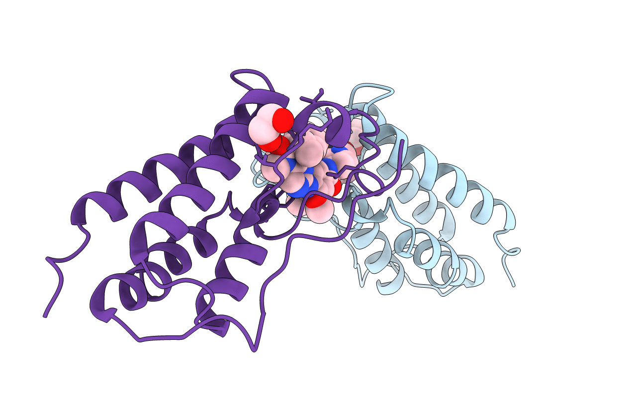 4OGI image