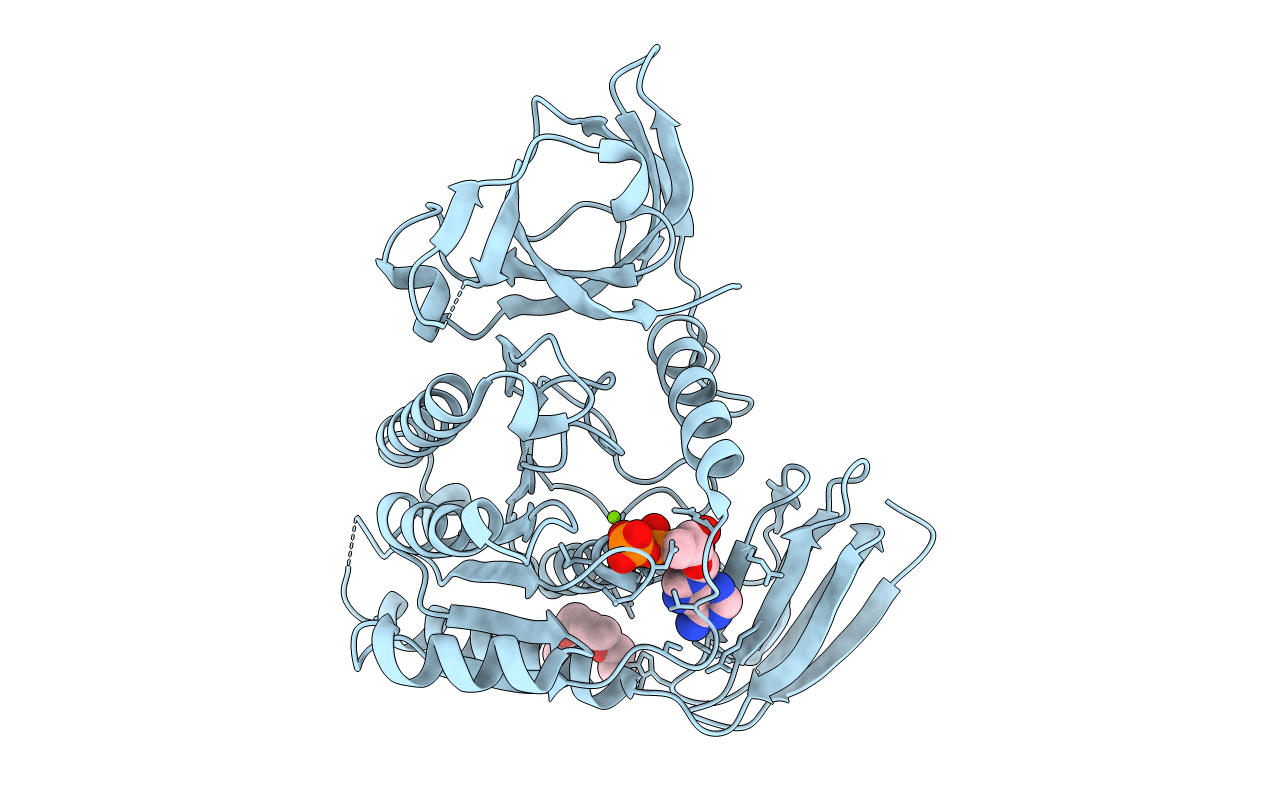 4OI2 image