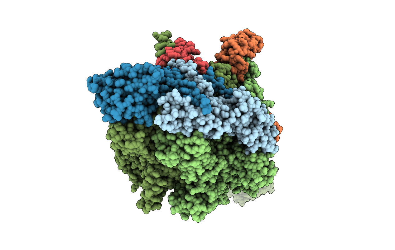 4OIP image