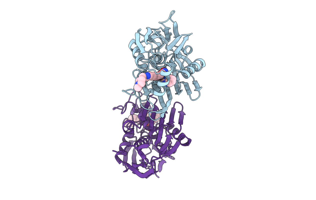 4OKG image