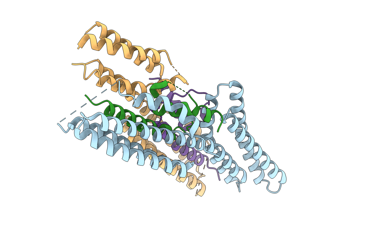 4ONS image