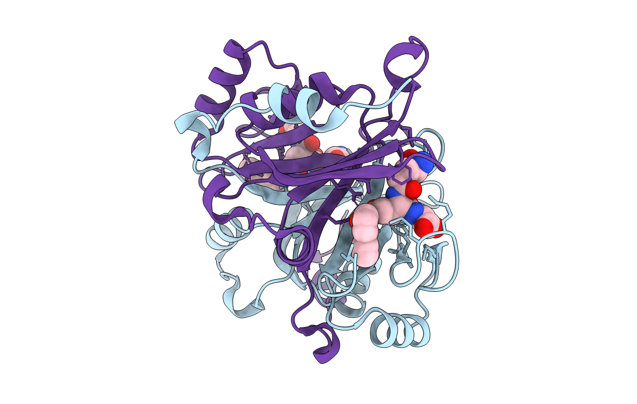 4OPN image