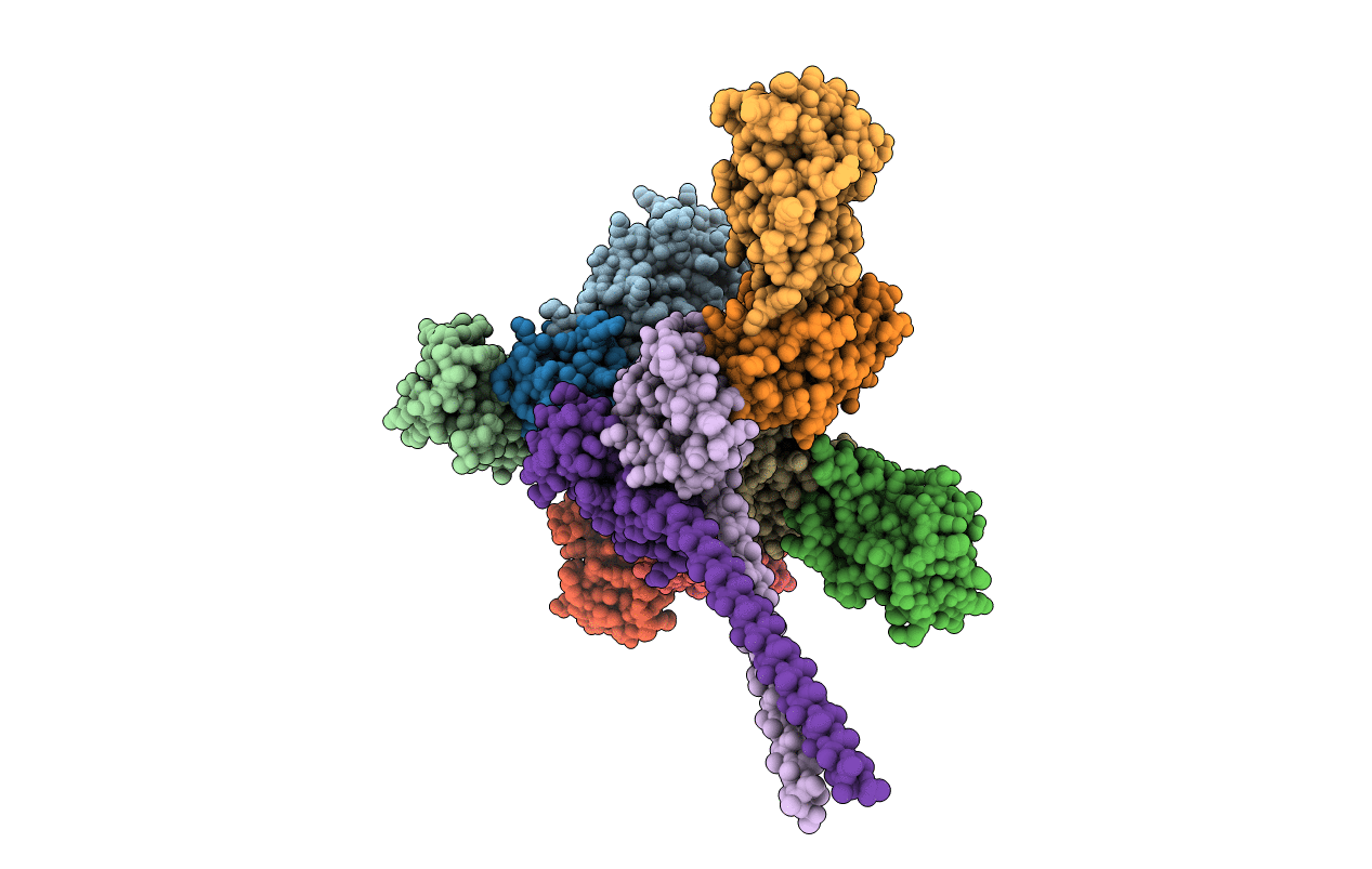 4ORH image