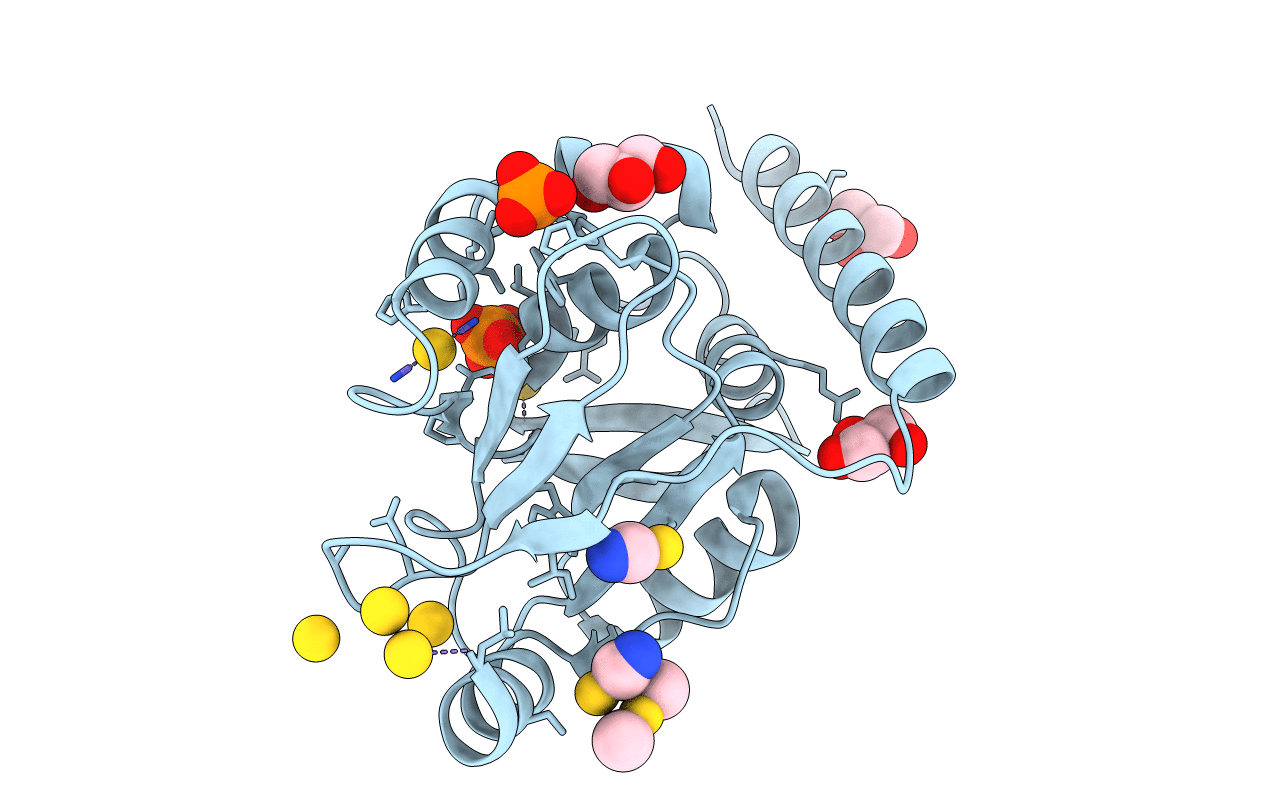 4OVB image