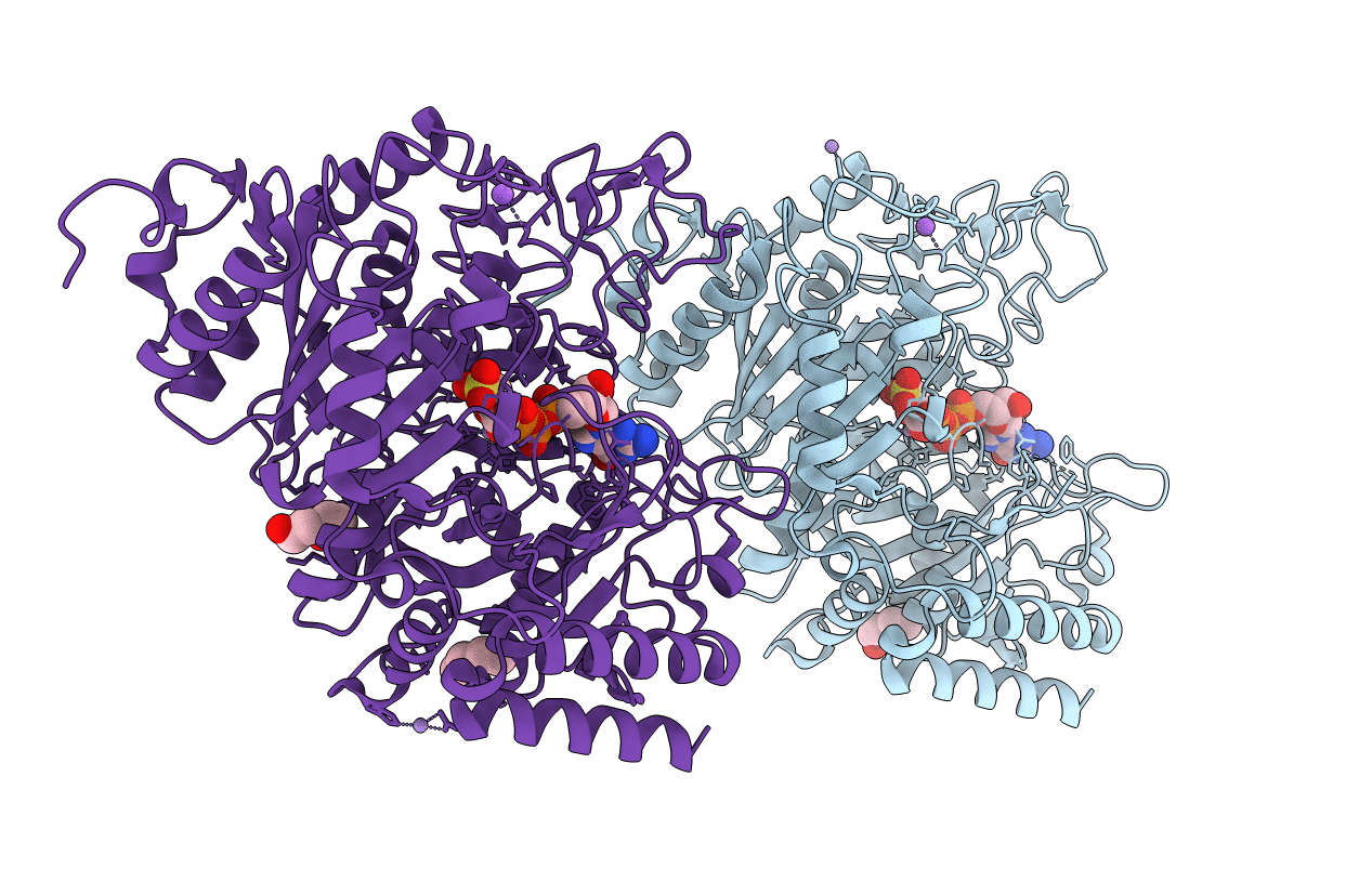4OX2 image