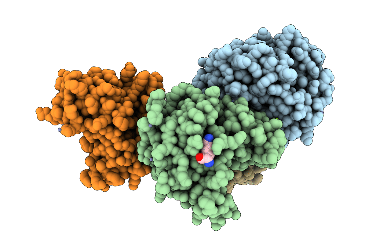 4OXD image