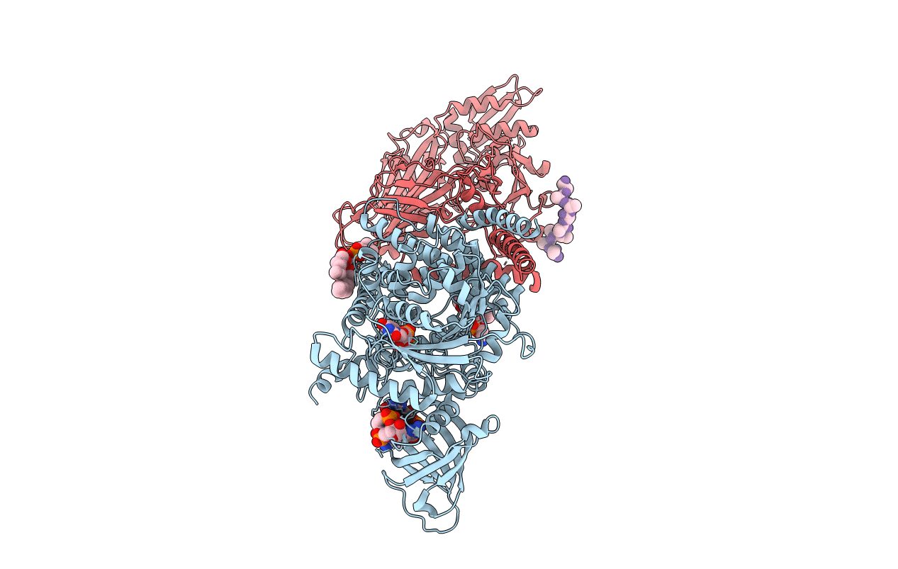 4P00 image