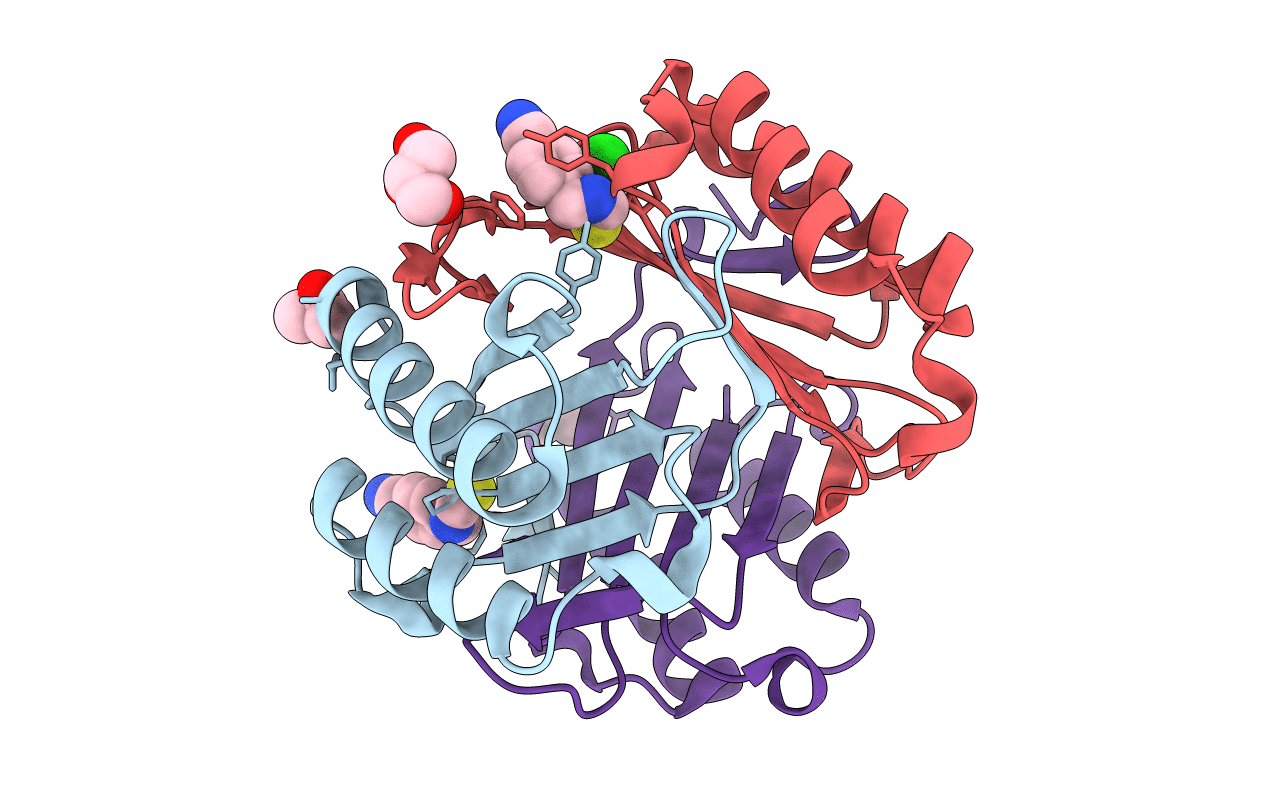 4P01 image