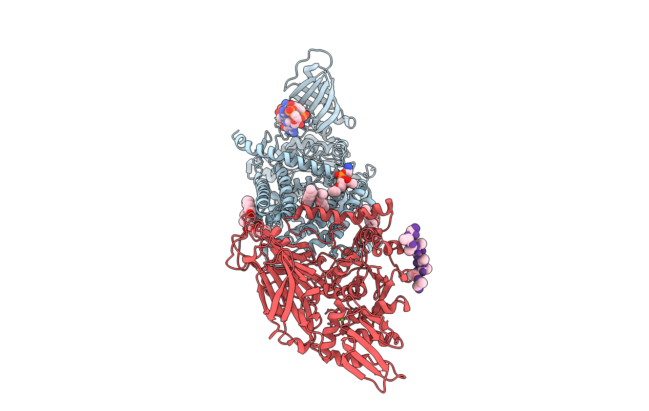 4P02 image
