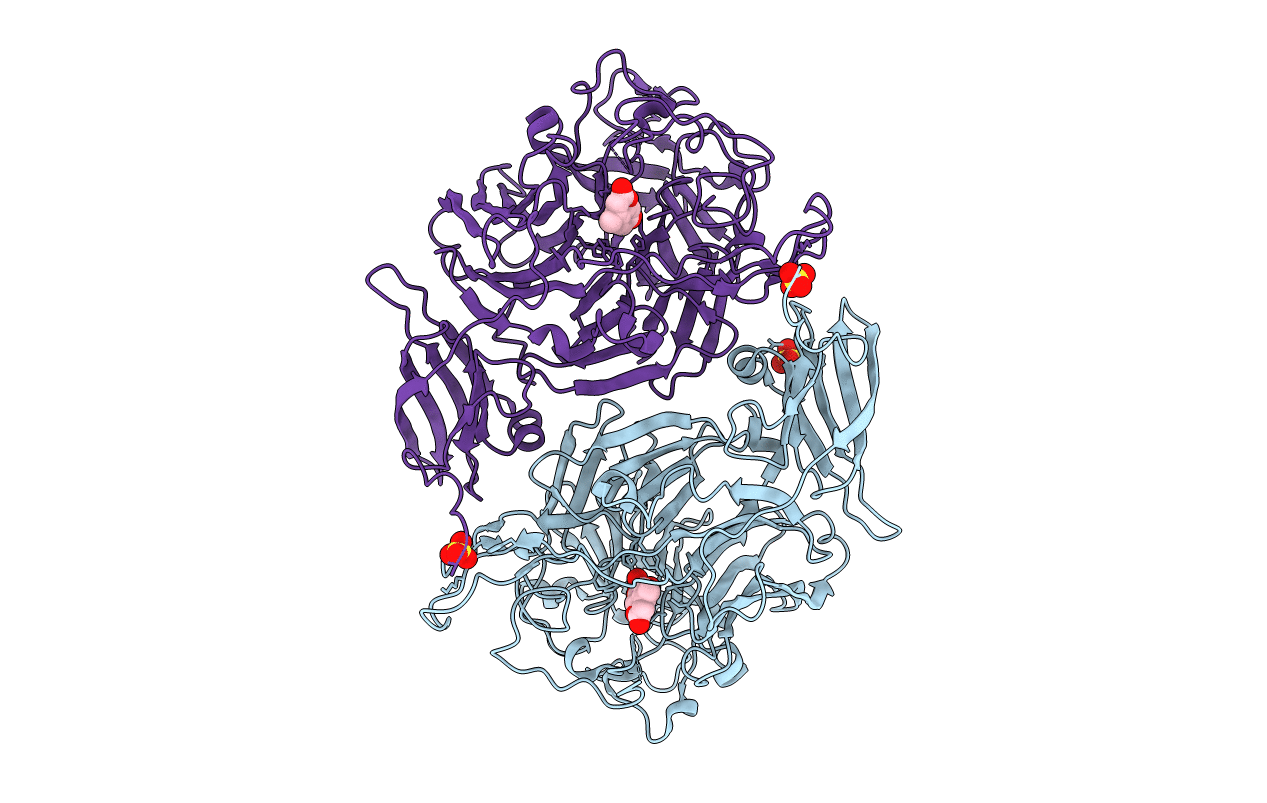 4P06 image