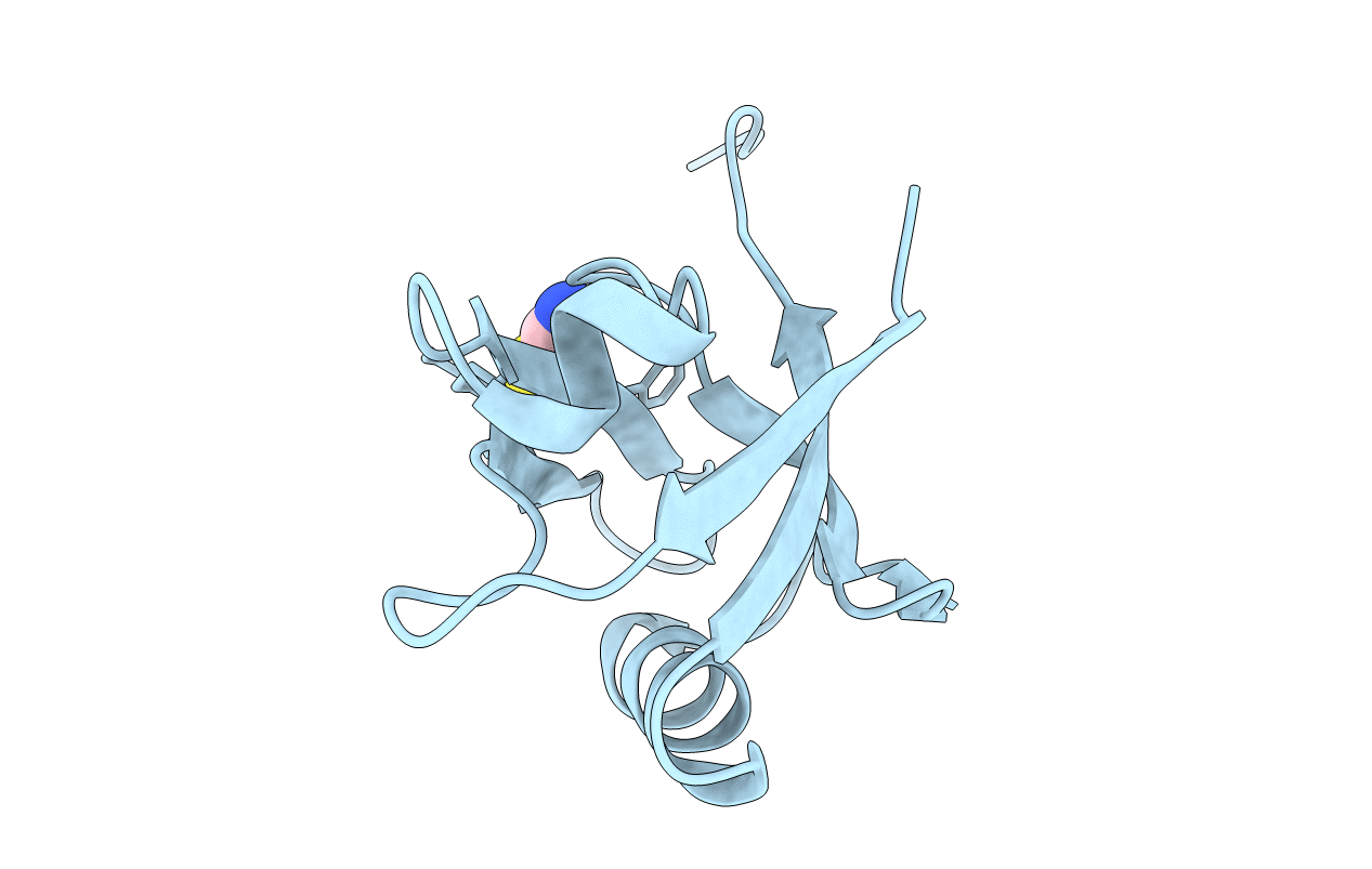 4P0C image