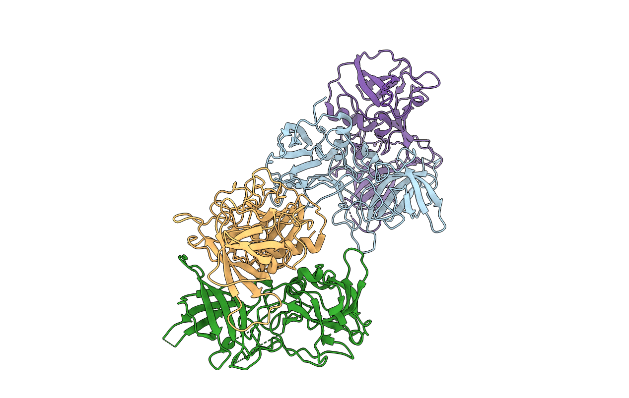 4P12 image