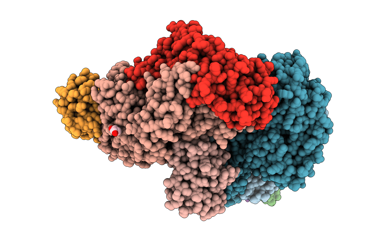 4P1B image