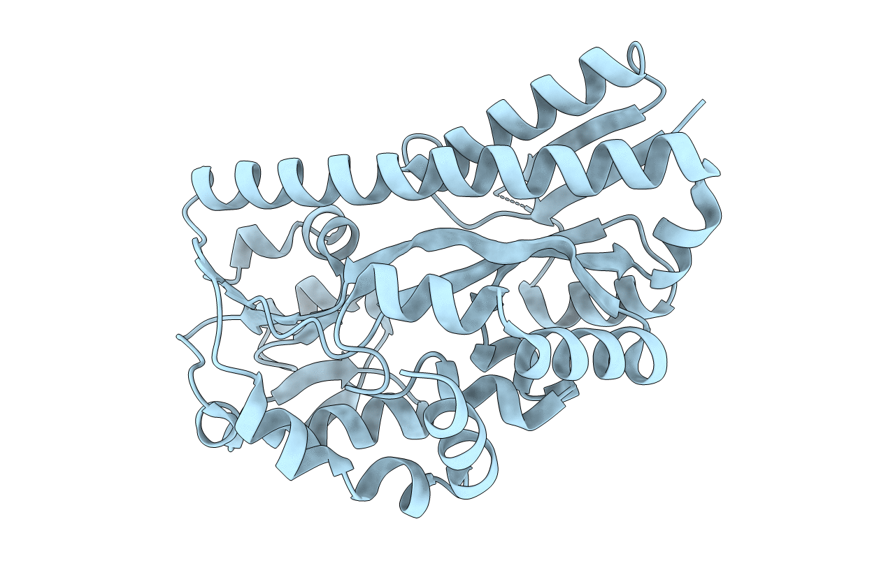 4P1E image