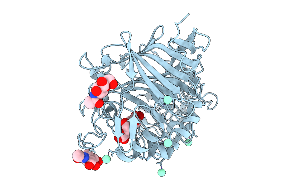 4P1J image