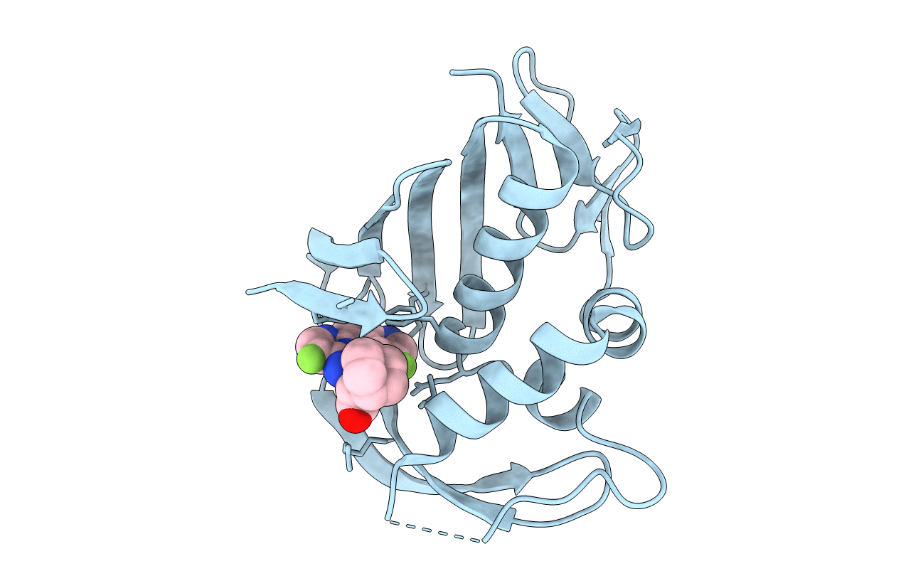 4P1U image