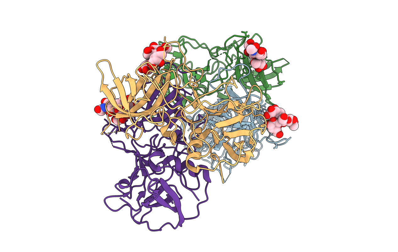 4P1V image