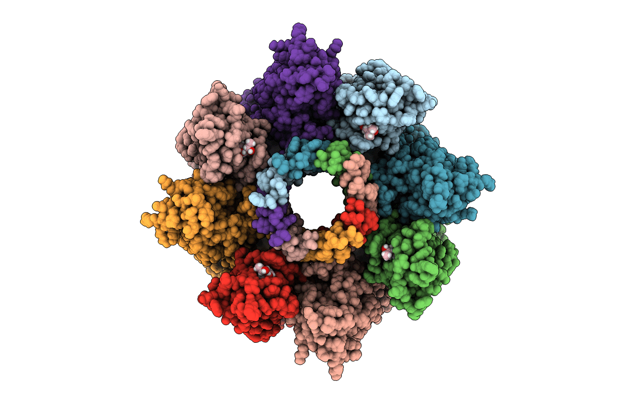 4P1X image