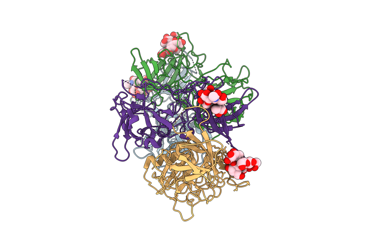 4P25 image