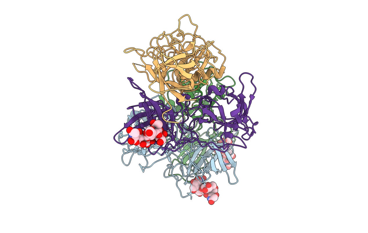 4P26 image