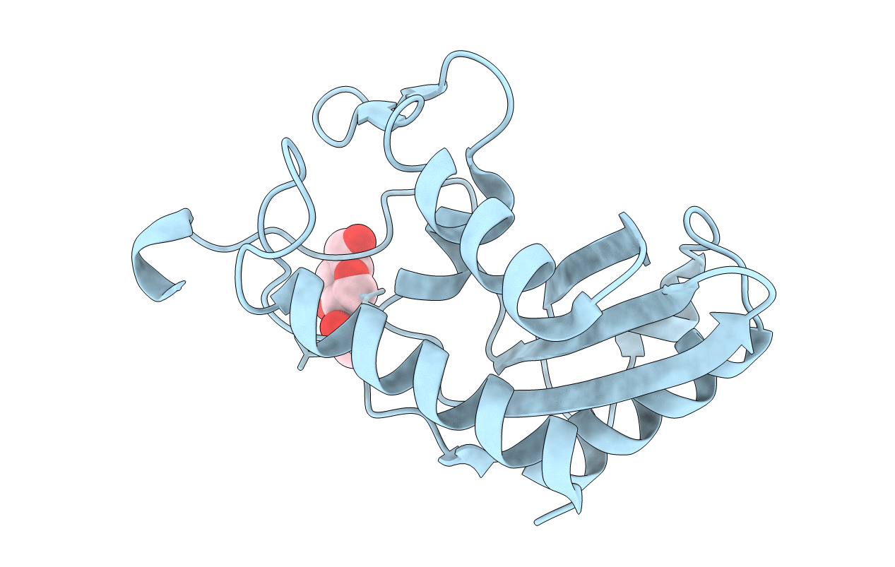 4P27 image