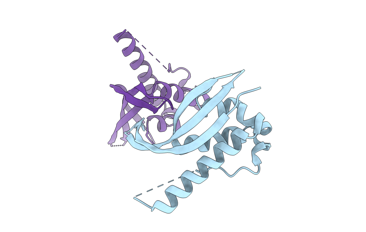 4P2I image