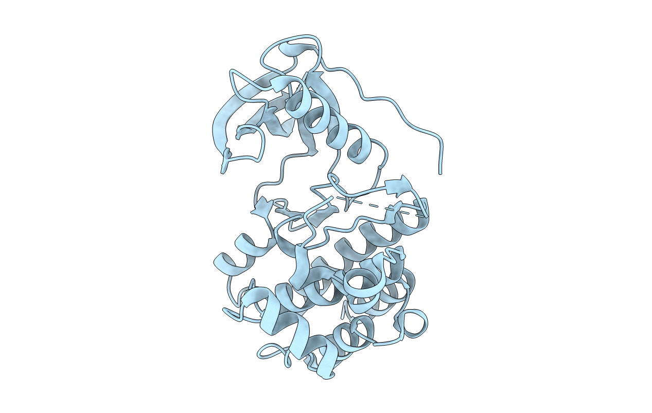 4P2K image