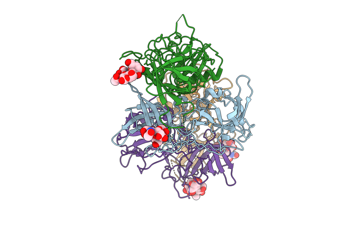 4P2N image