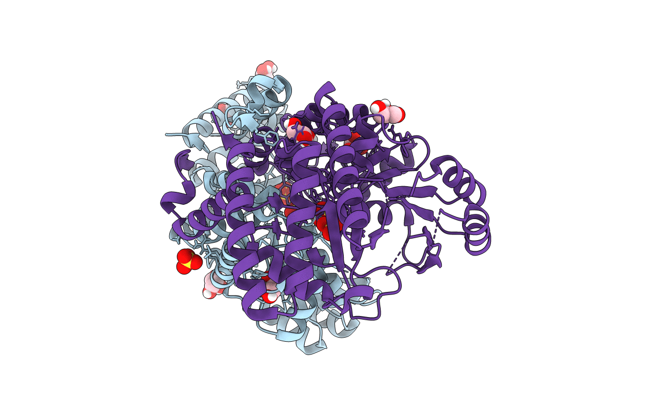 4P3M image