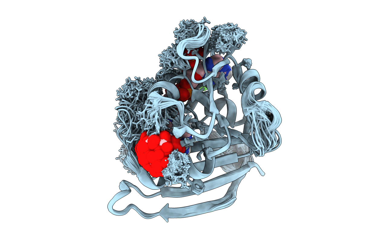 4P3Q image