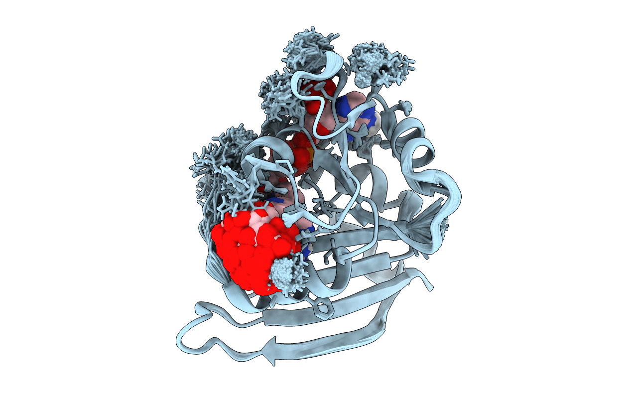 4P3R image