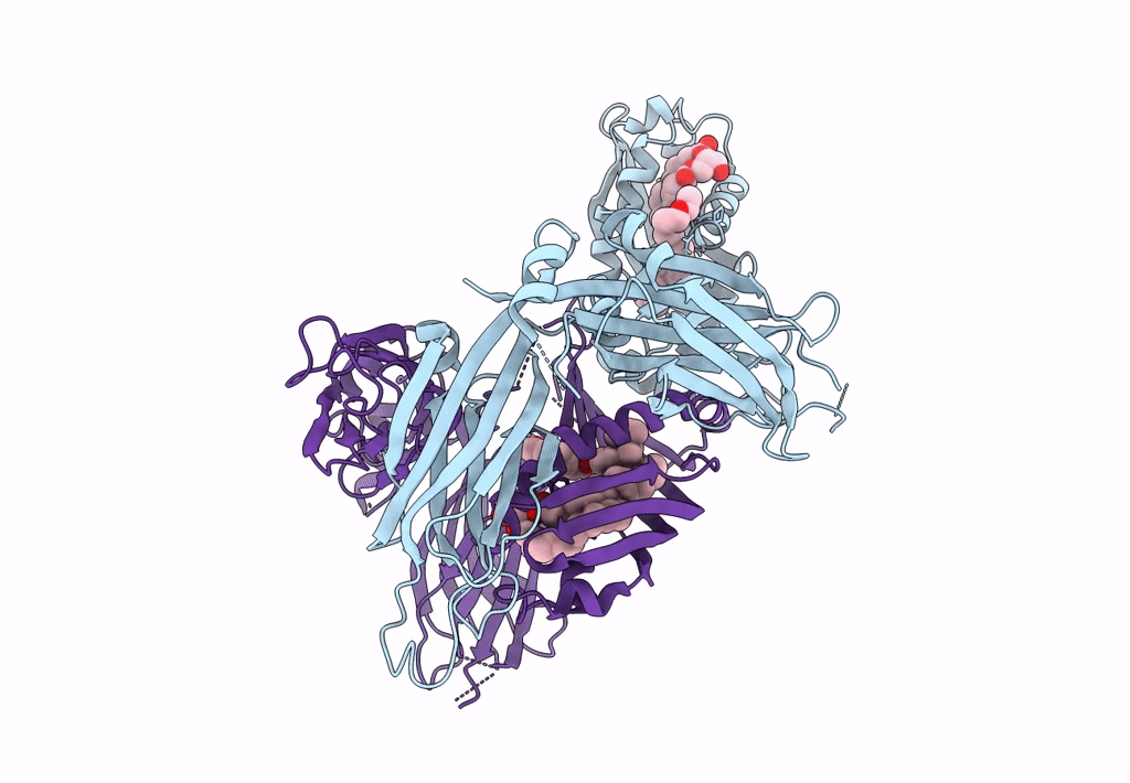 4P42 image