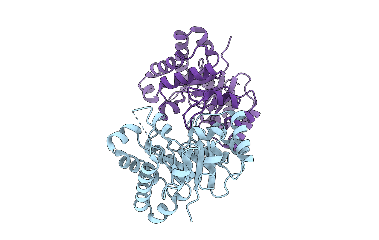 4P61 image